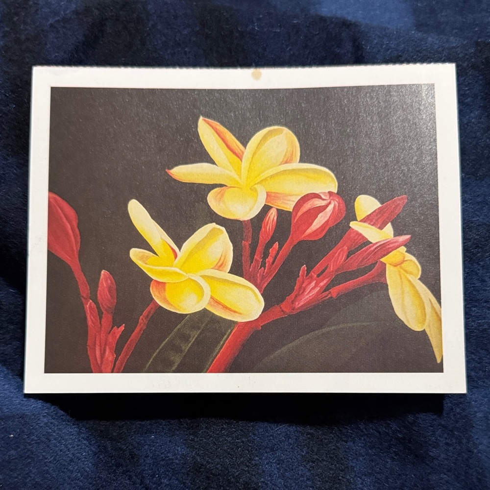 Plumeria postcard print